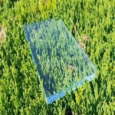 Kính cường lực sậy